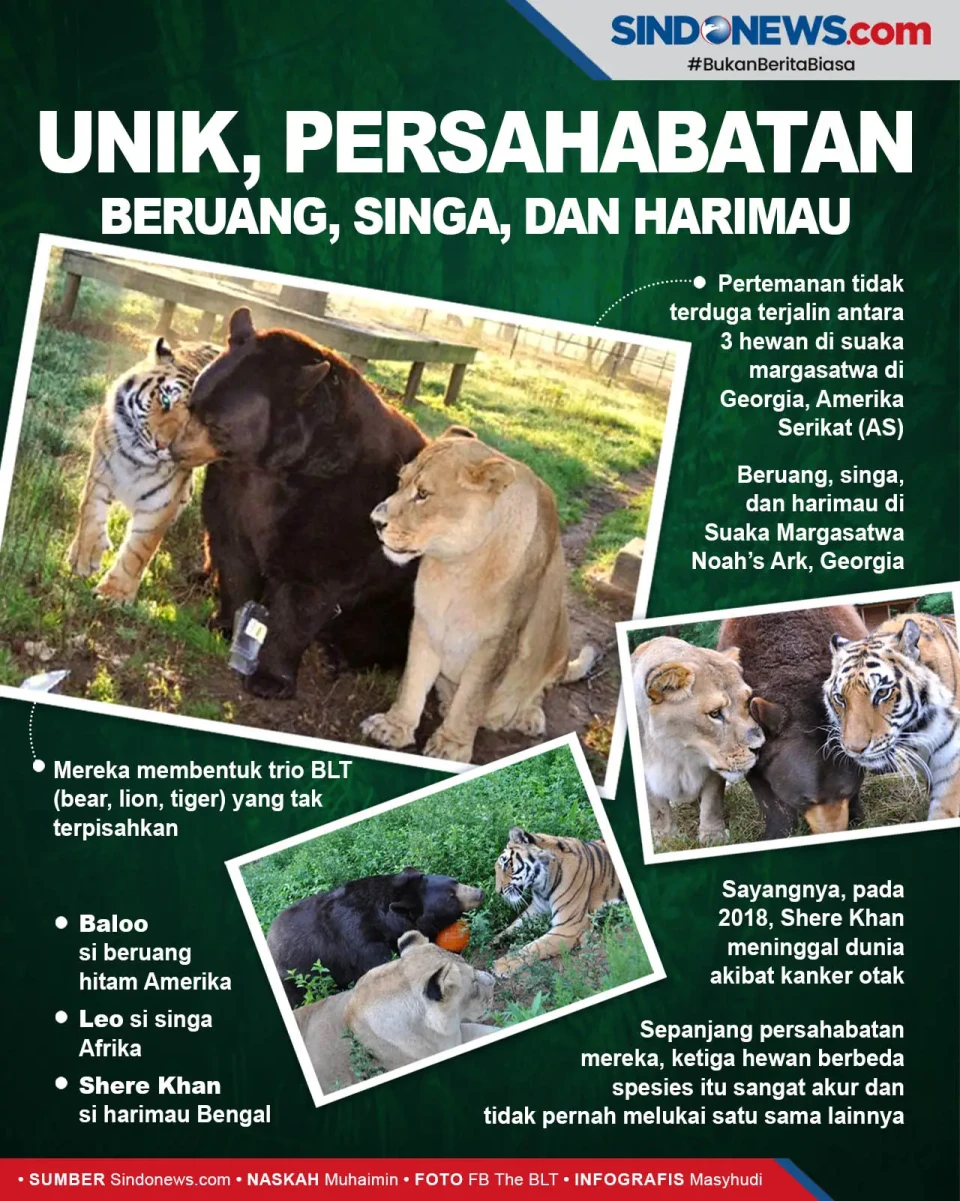 Unik, Bersaudara 15...