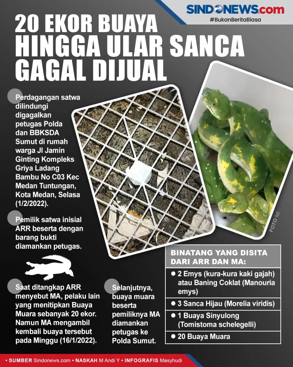 Perdagangan Puluhan...