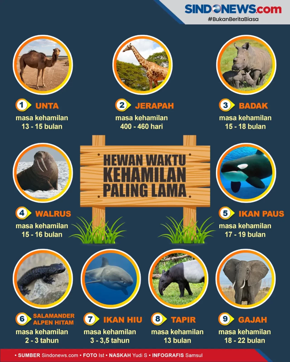Berikut 9 Hewan dengan...