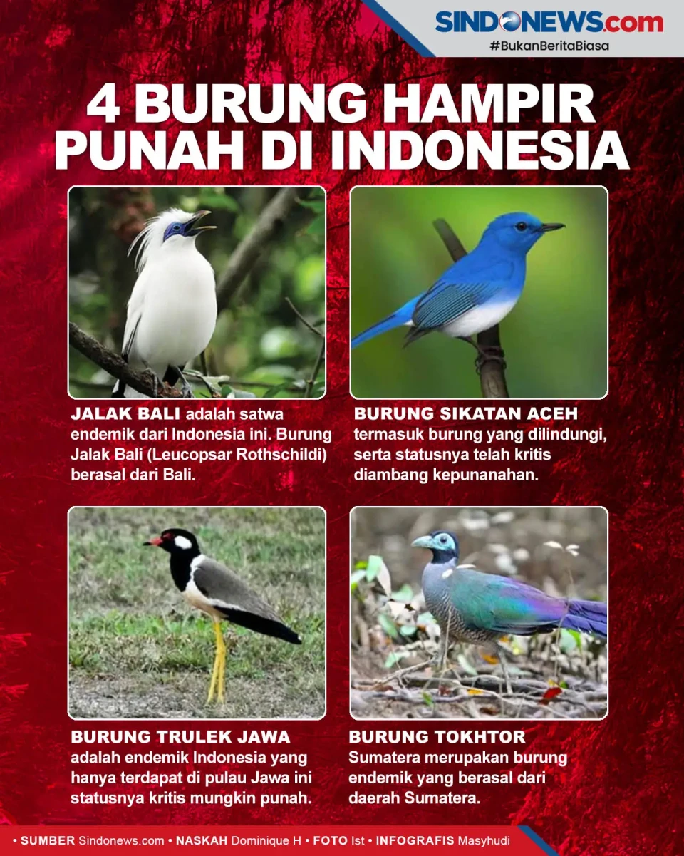 Tinggal Puluhan Ekor,...