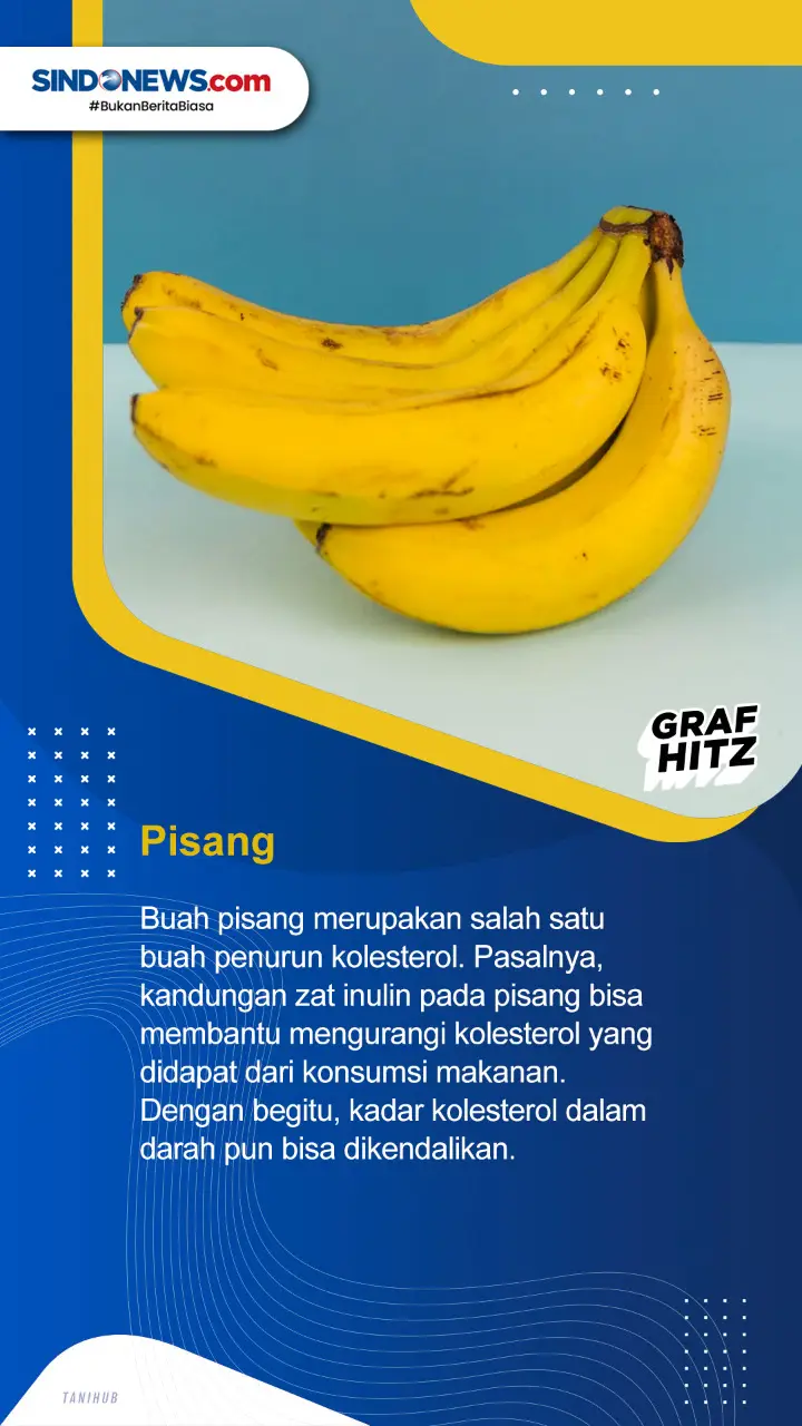 Baik Untuk Dikonsumsi,...