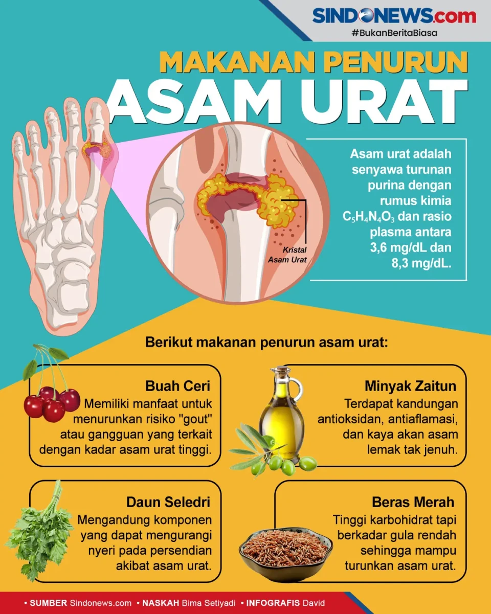 Mudah Ditemukan, Berikut...