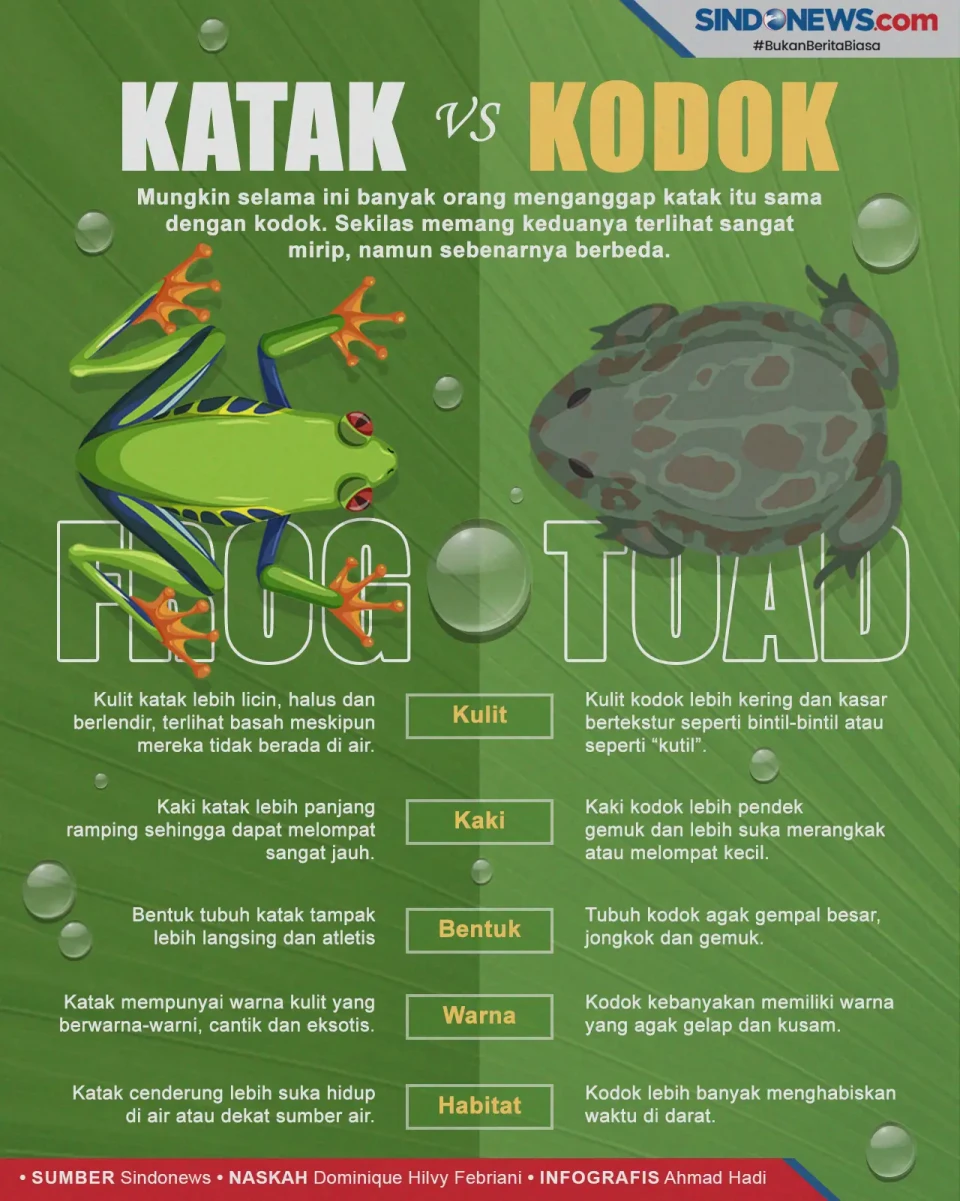Serupa tapi Tak Sama,...