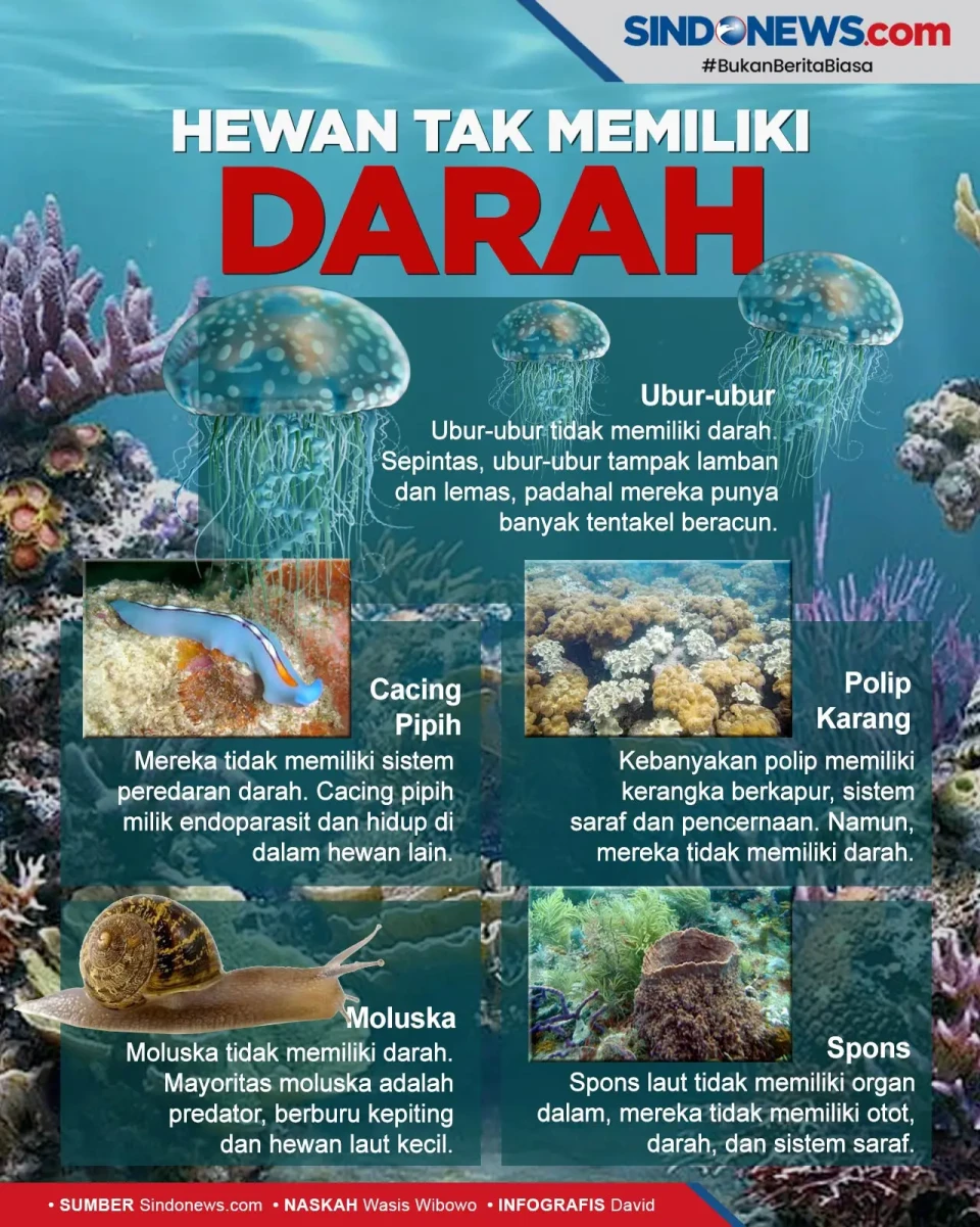 Ada yang Beracun, Berikut...