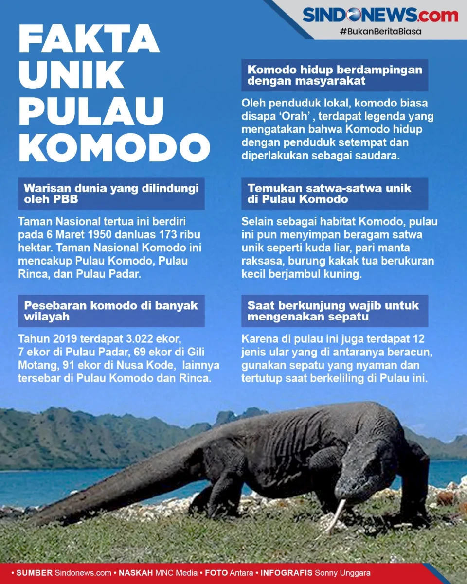5 Fakta Unik Pulau Komodo,...