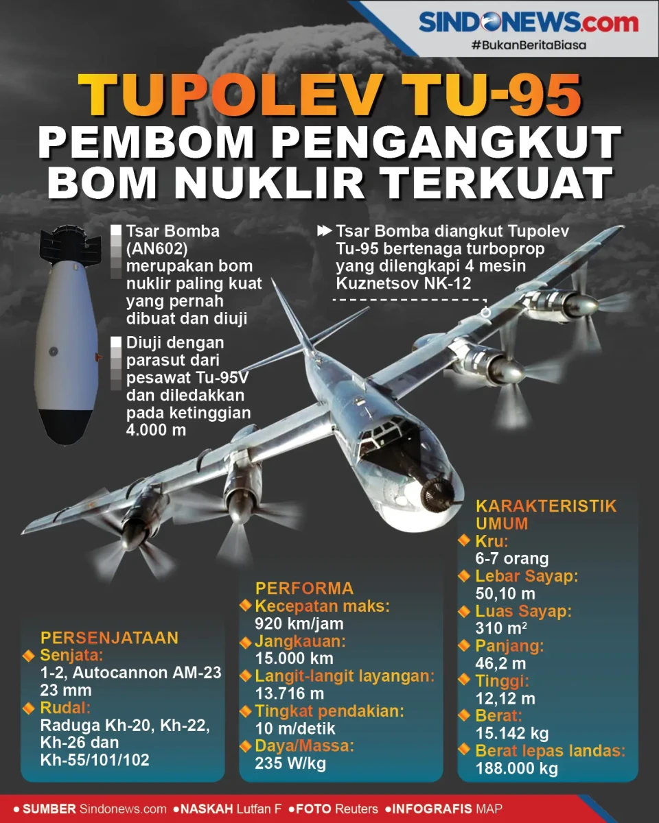 Tupolev Tu-95, Pembom...