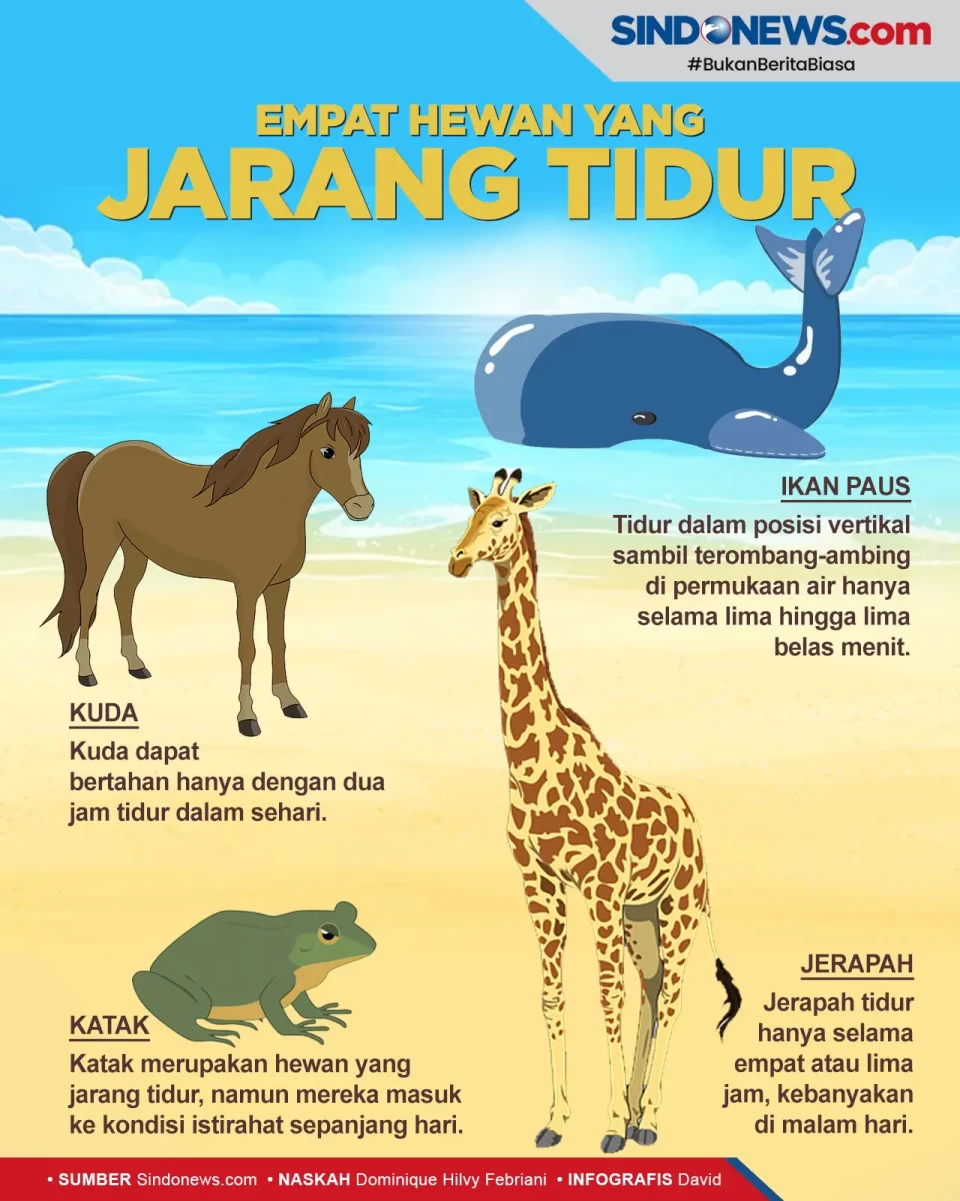 2 Jam Istirahat dalam...