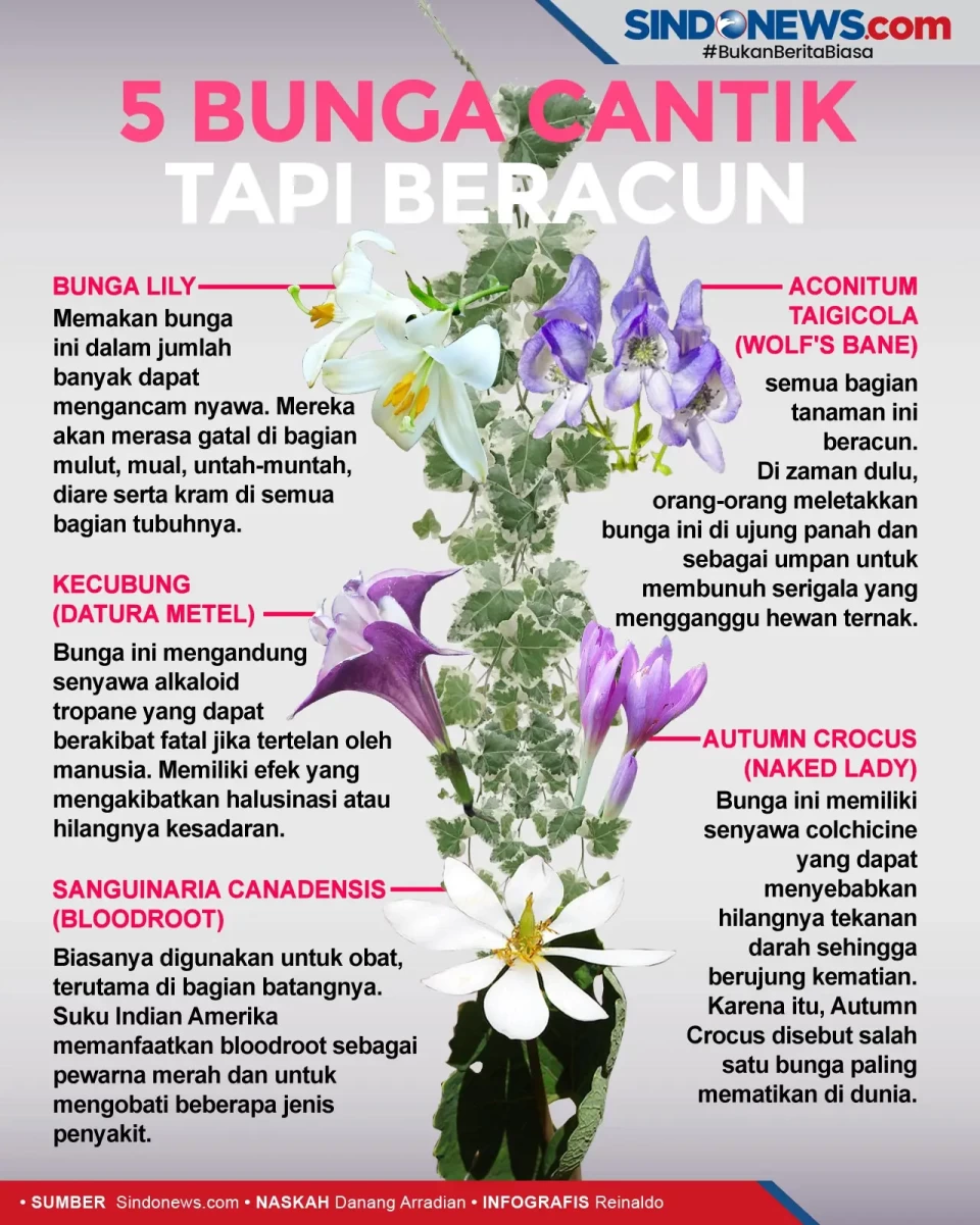 5 Bunga Cantik tapi...