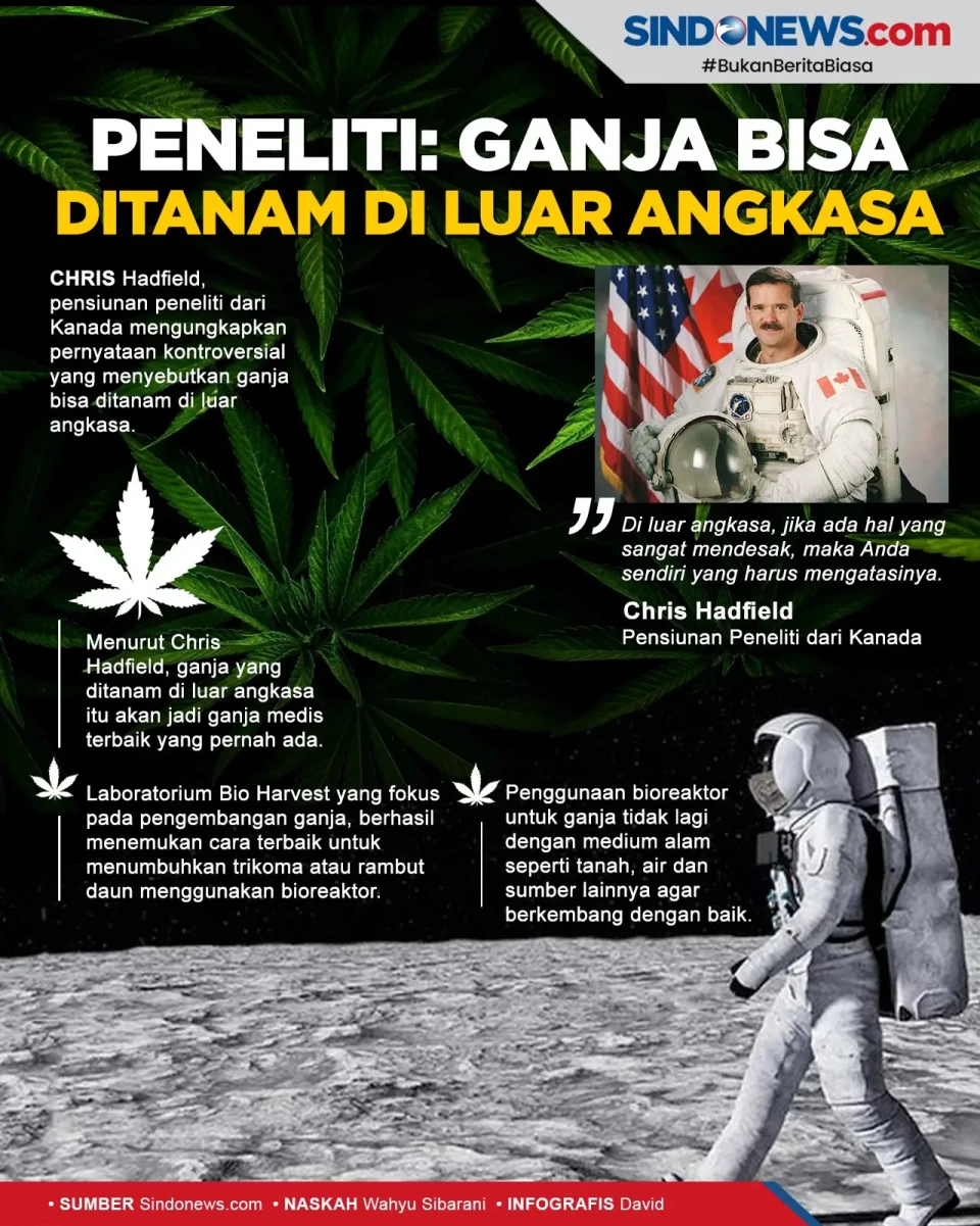 Peneliti Klaim Ganja...