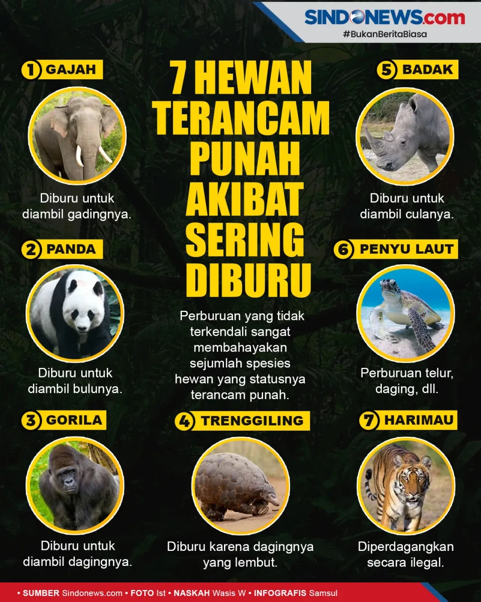Perburuan Liar Merajalela,...