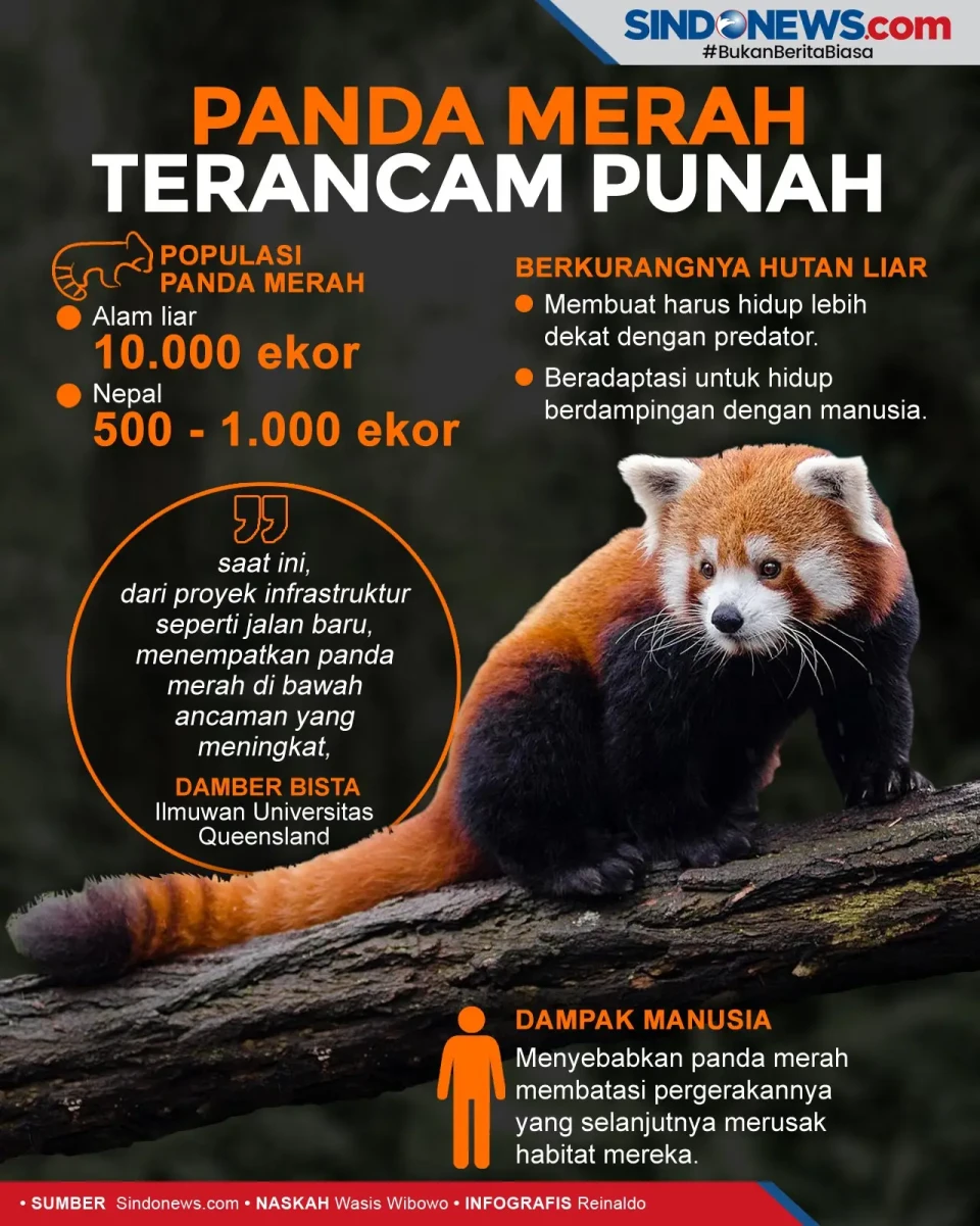 Tersisa 10.000 Ekor,...