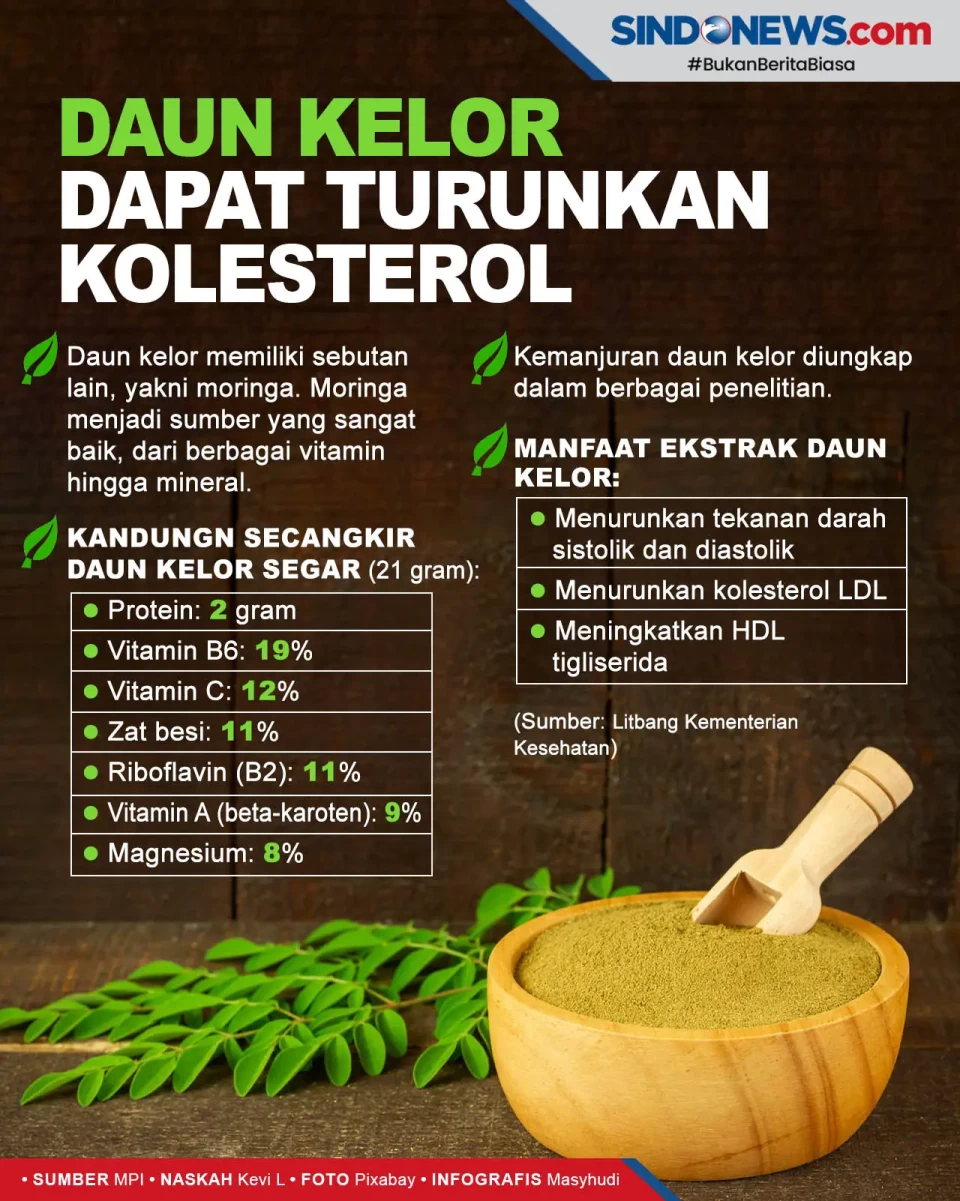 Daun Kelor Bisa Digunakan...