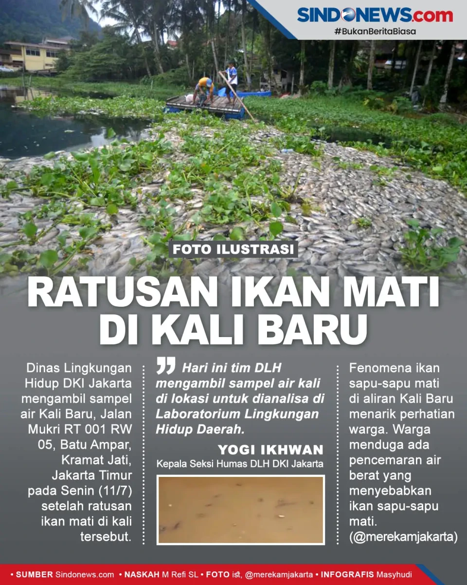 Ratusan Ikan Mati Misterius...