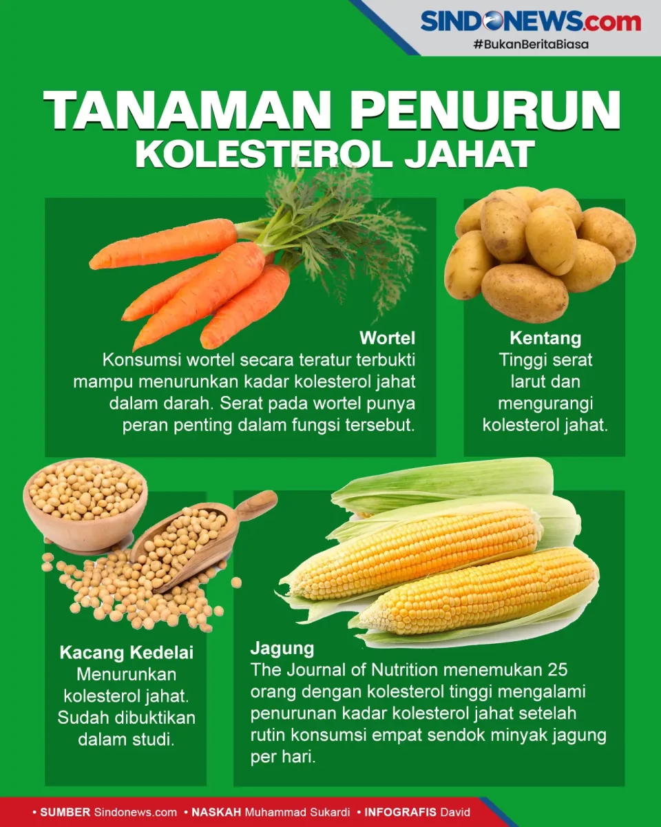 Tanaman Penurun Kolesterol...
