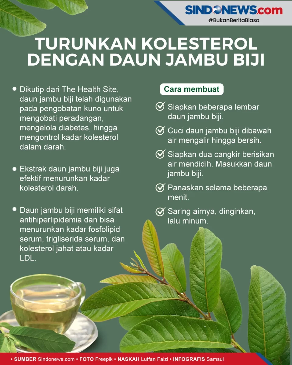Turunkan Kolesterol...