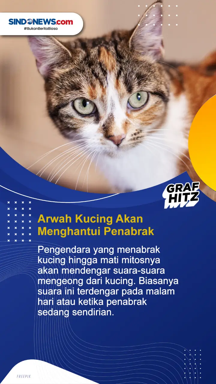 Yuk Simak! Ini 5 Mitos...