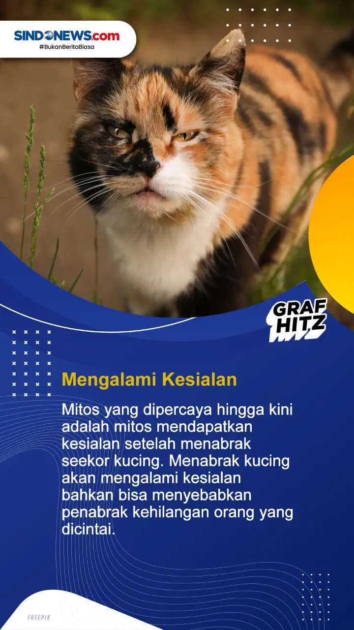 Yuk Simak! Ini 5 Mitos...