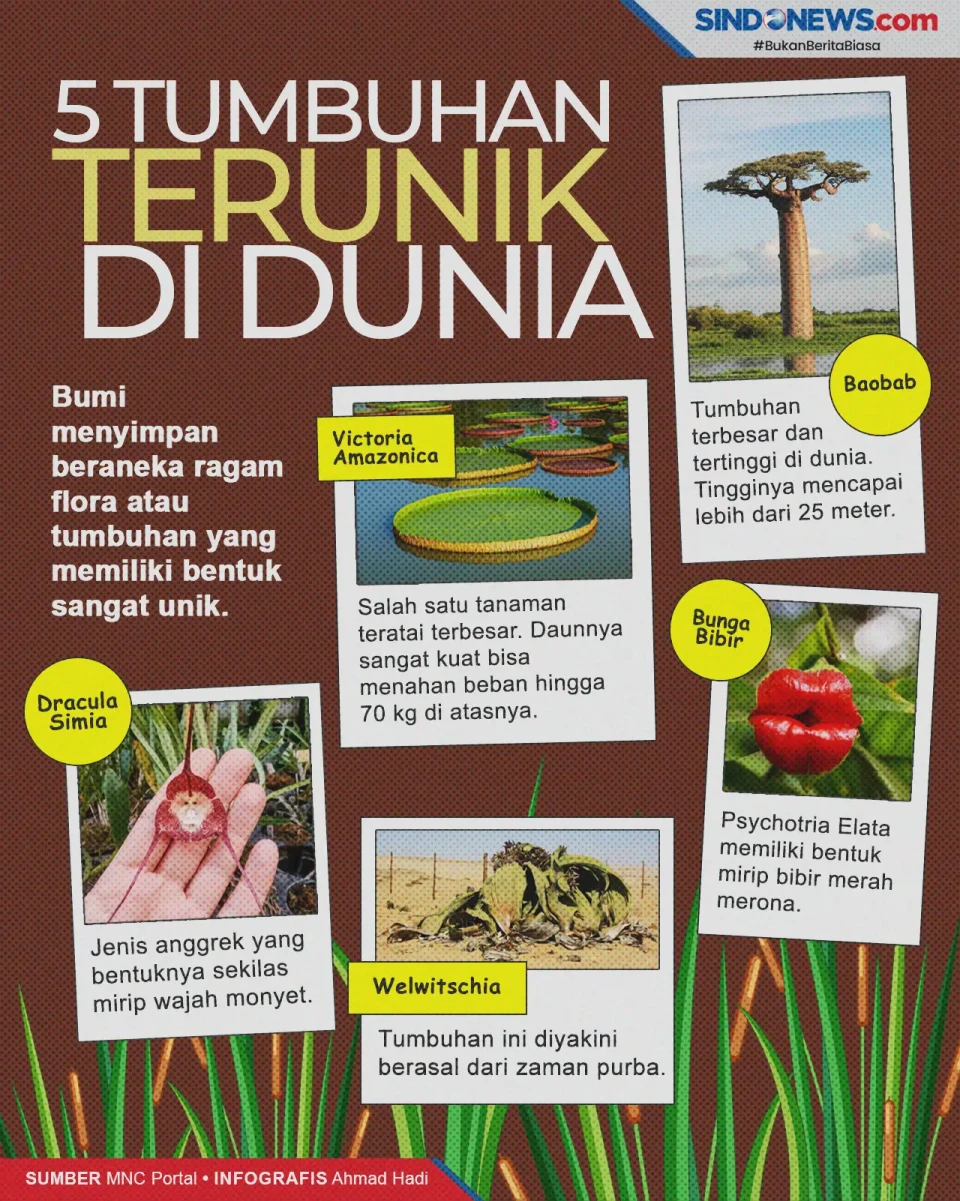 Tumbuhan yang Memiliki...