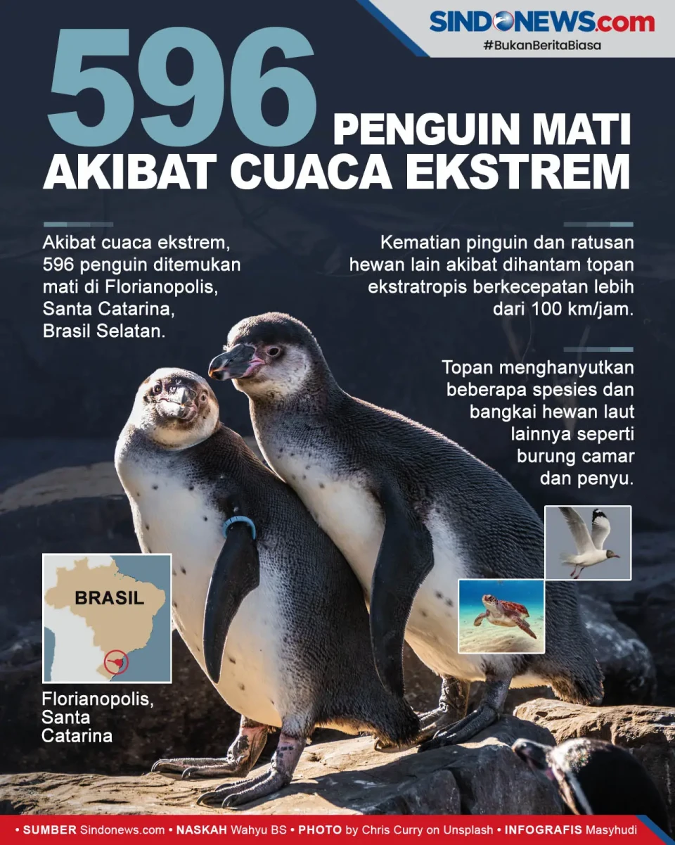 Akibat Cuaca Ekstrem...