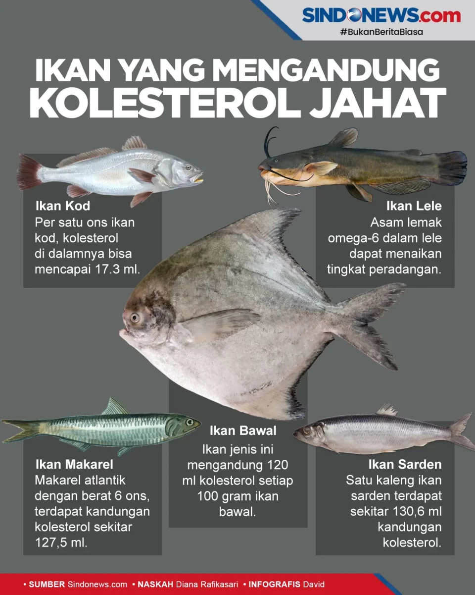 Jenis Ikan yang Tidak...
