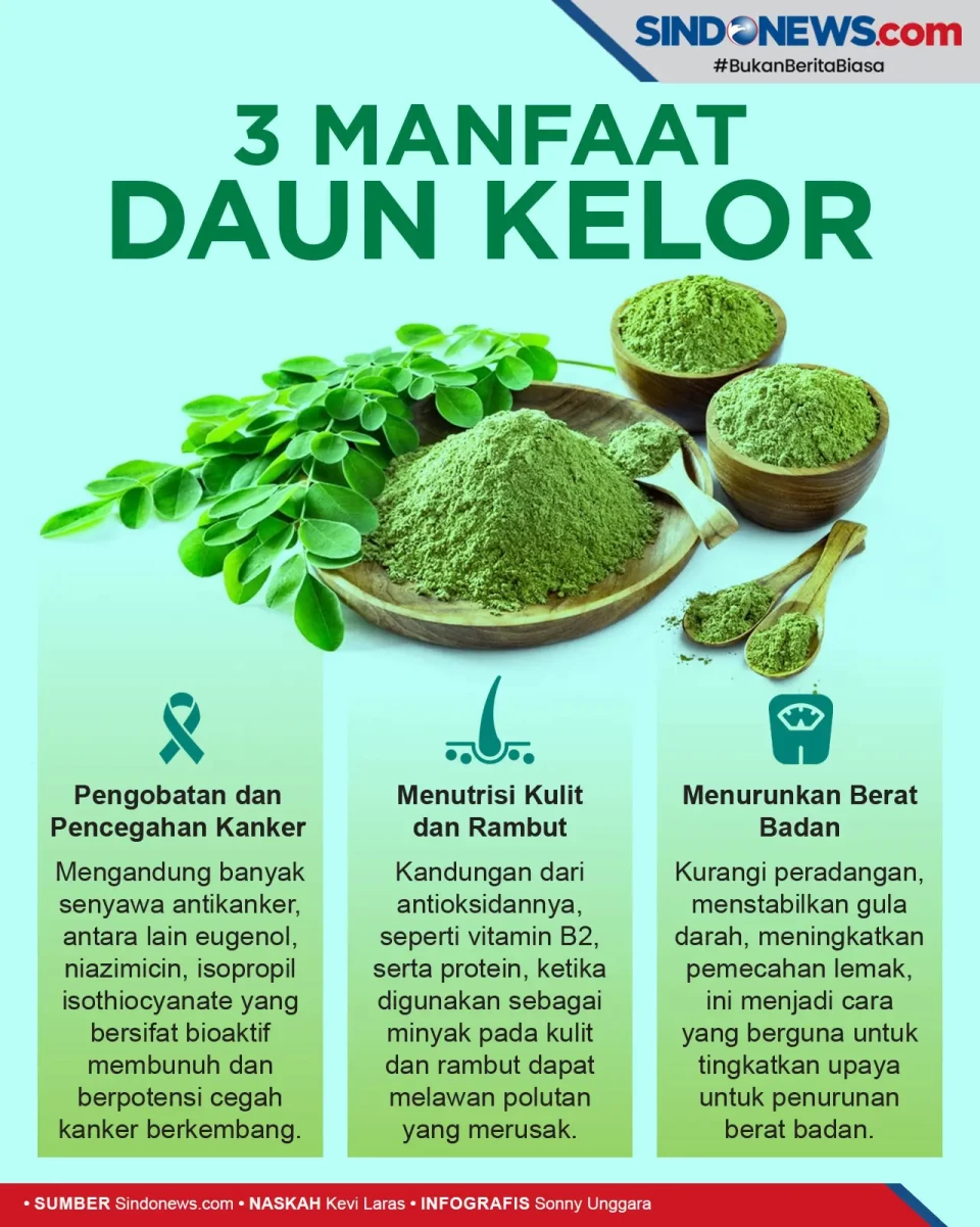 Cocok untuk Diet, Ini...