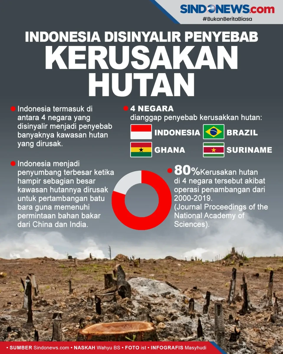 Indonesia Disebut Paling...