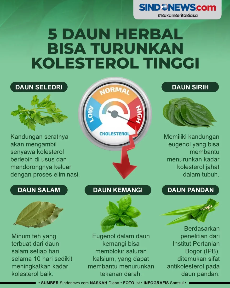 Berikut ini 5 Daun Herbal...