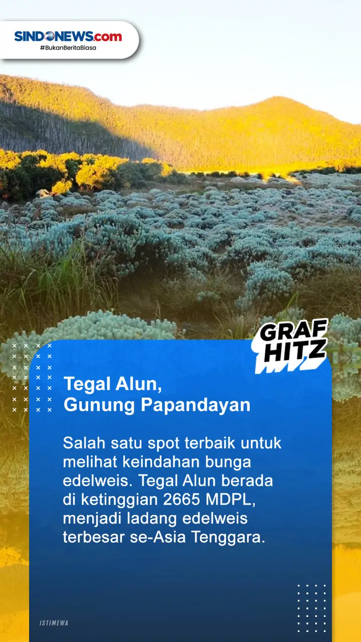 5 Spot Terbaik Nikmati...