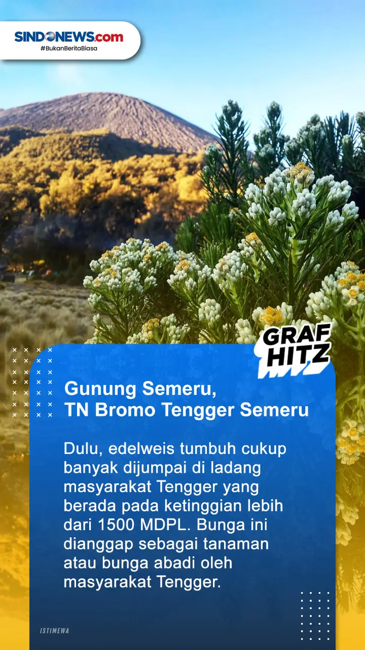 5 Spot Terbaik Nikmati...