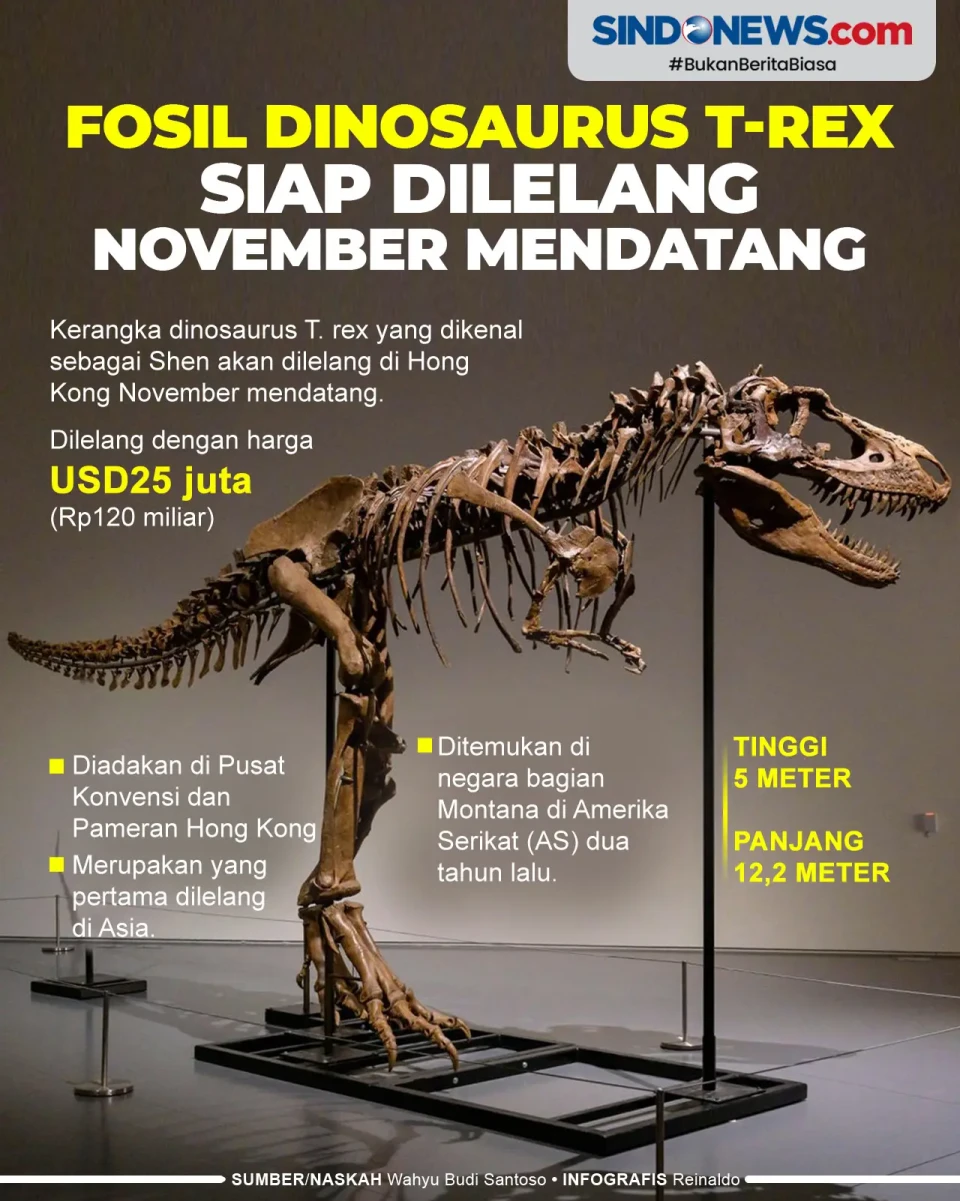 Fosil Dinosaurus T-Rex...