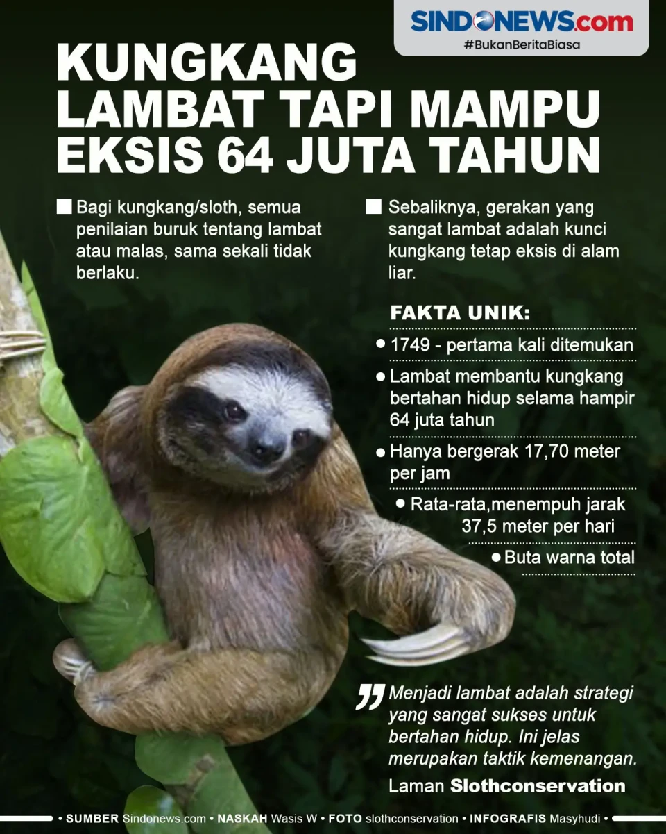Meskipun Sangat Lambat,...