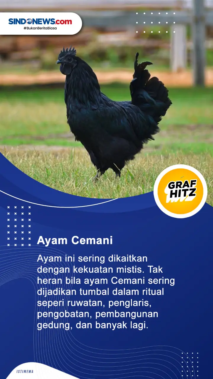4 Hewan dengan Mitos...
