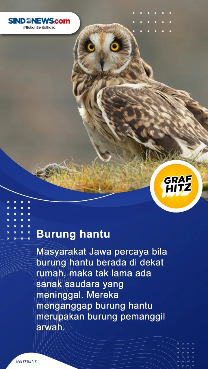 4 Hewan dengan Mitos...