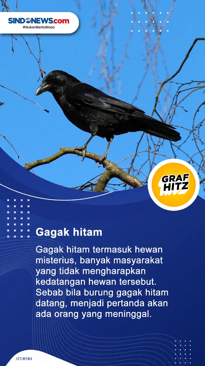 4 Hewan dengan Mitos...