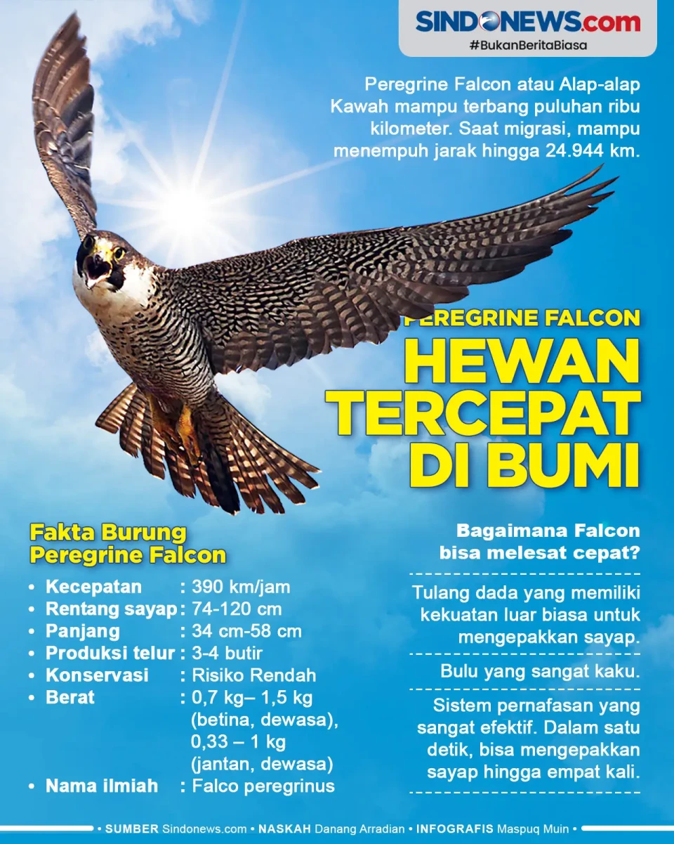 Melesat 390 Km/Jam,...
