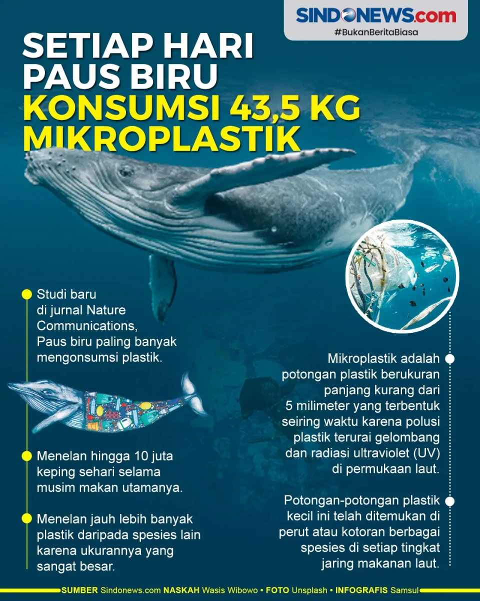 Setiap Hari Paus Biru...
