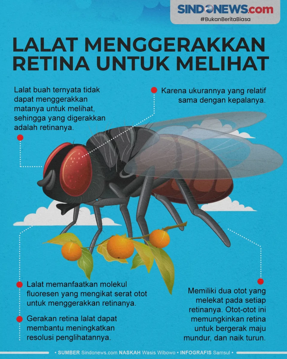 Bukan Matanya, untuk...
