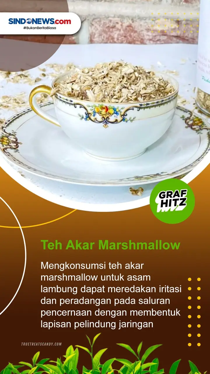 7 Jenis Teh Herbal yang...