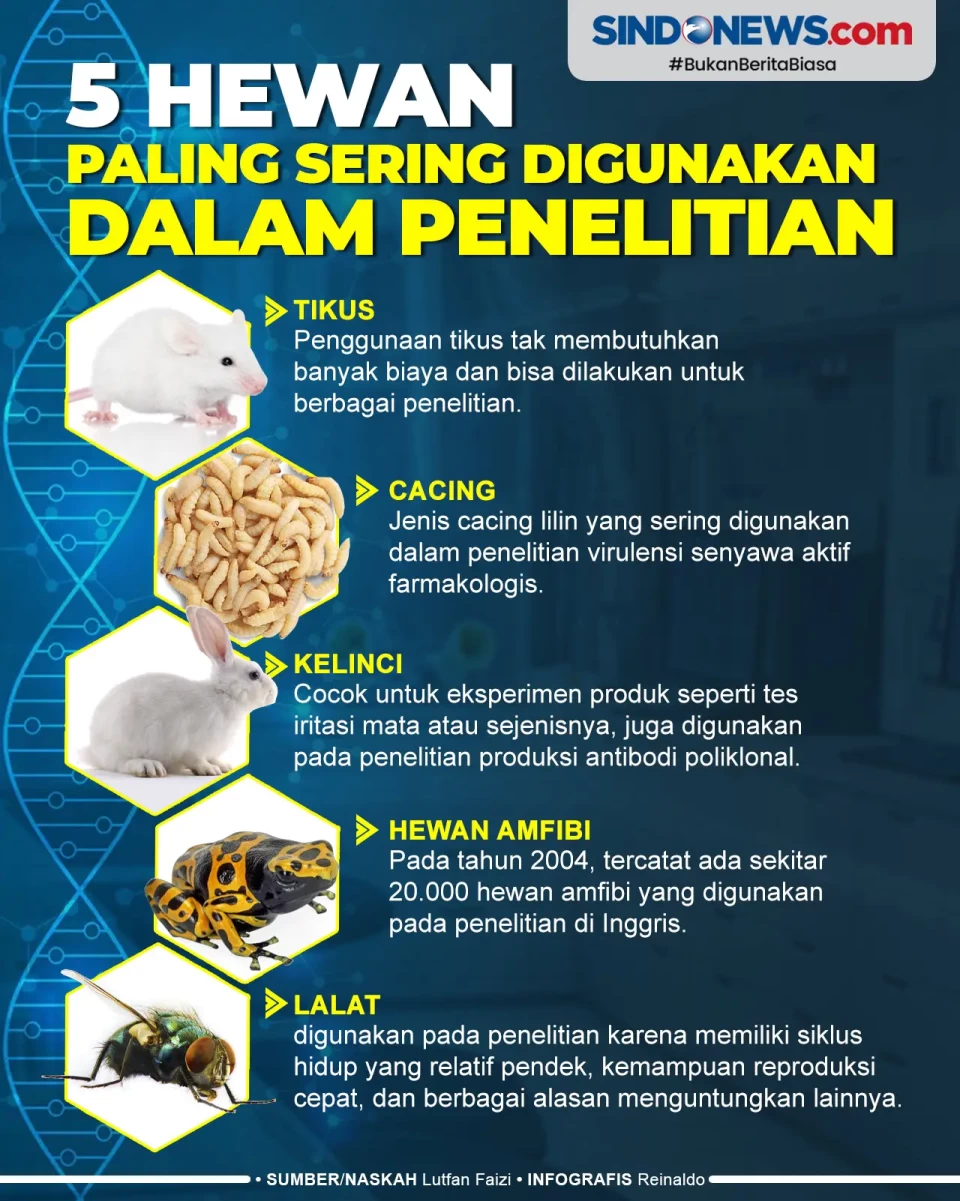 5 Hewan yang Paling...