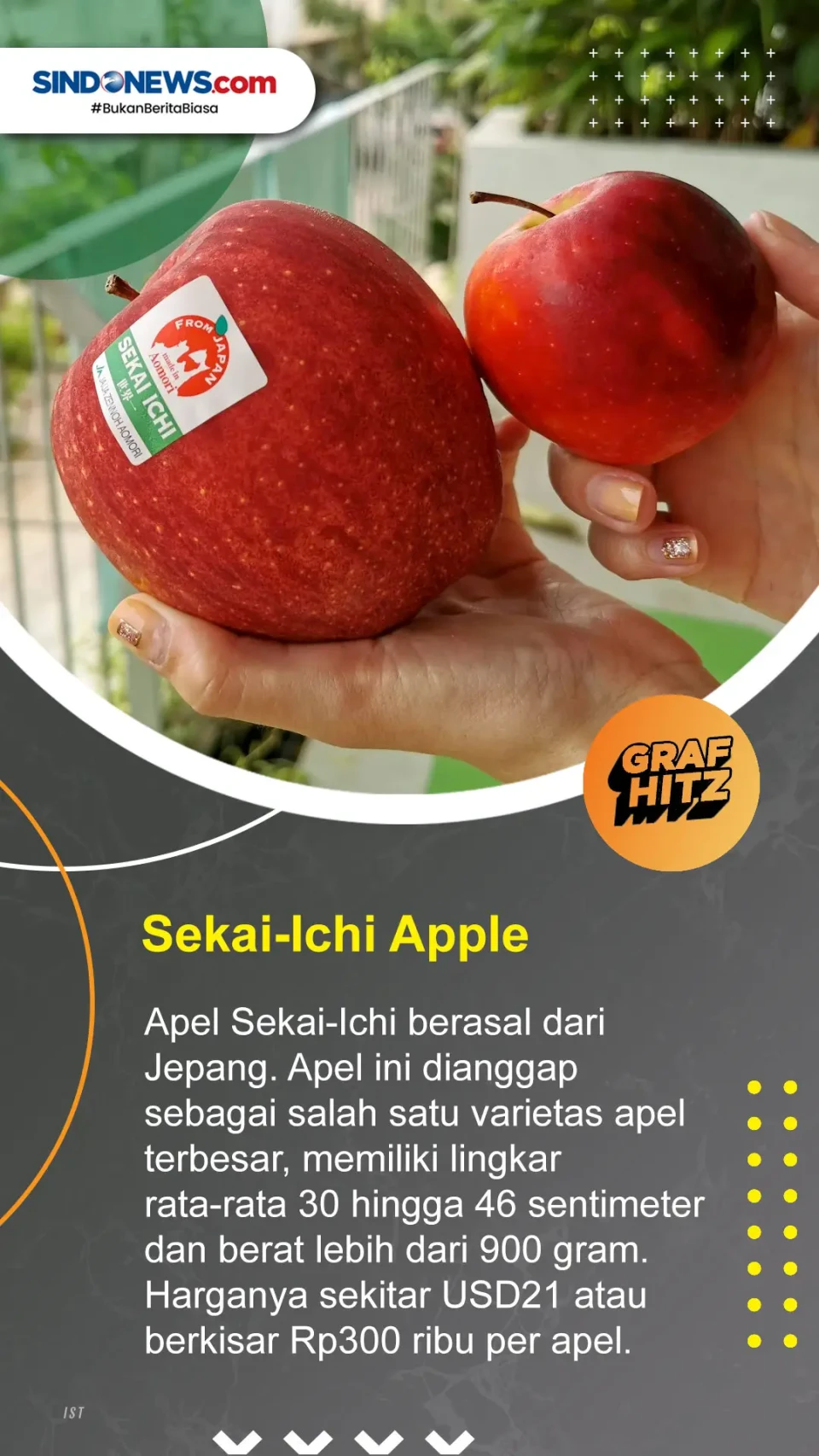 6 Buah Termahal di Dunia,...