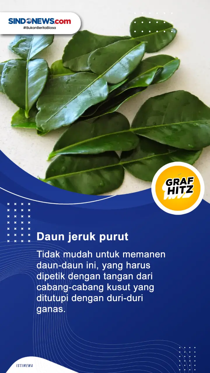 Harganya Selangit, Ini...