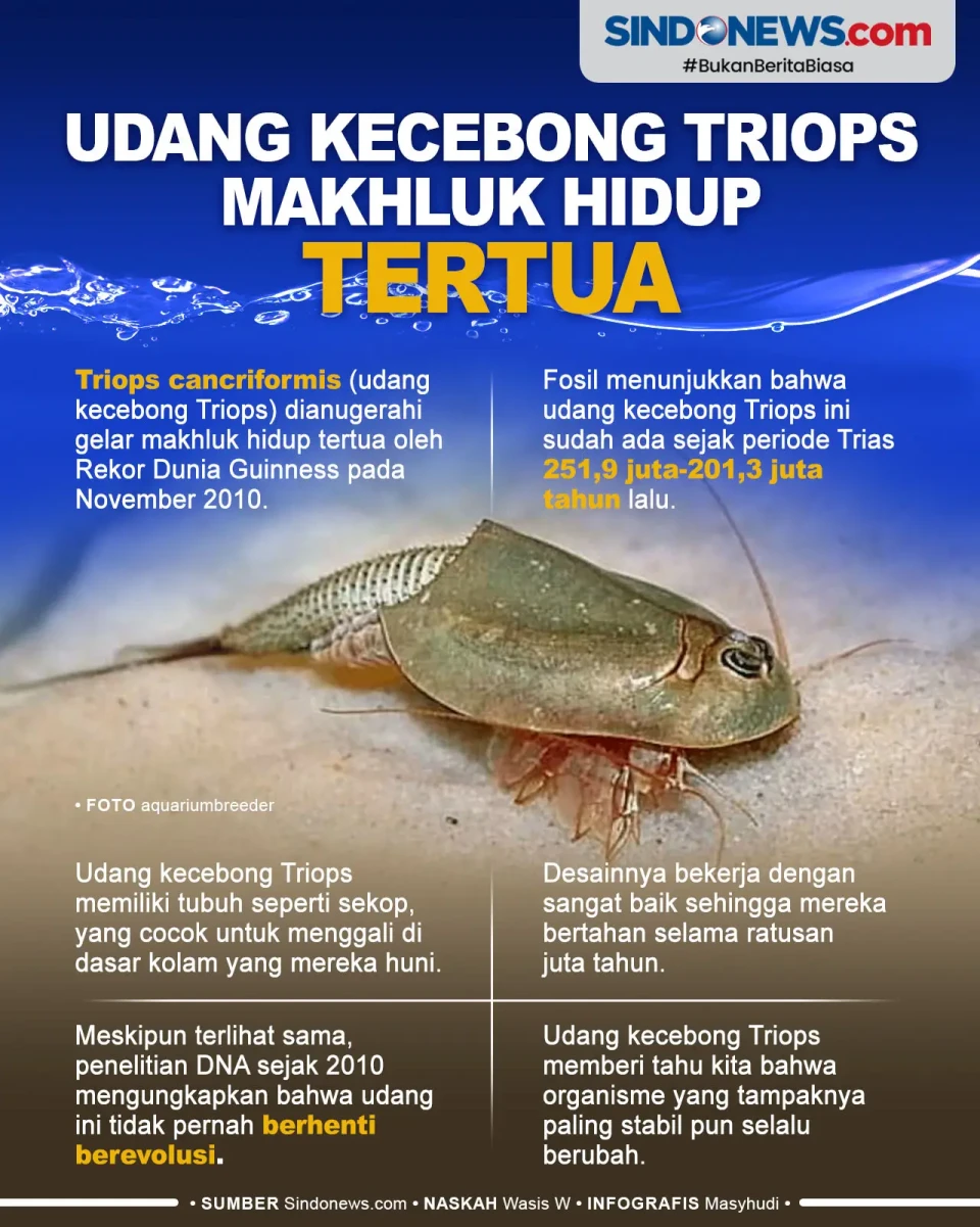 Bertahan 250 Juta Tahun,...