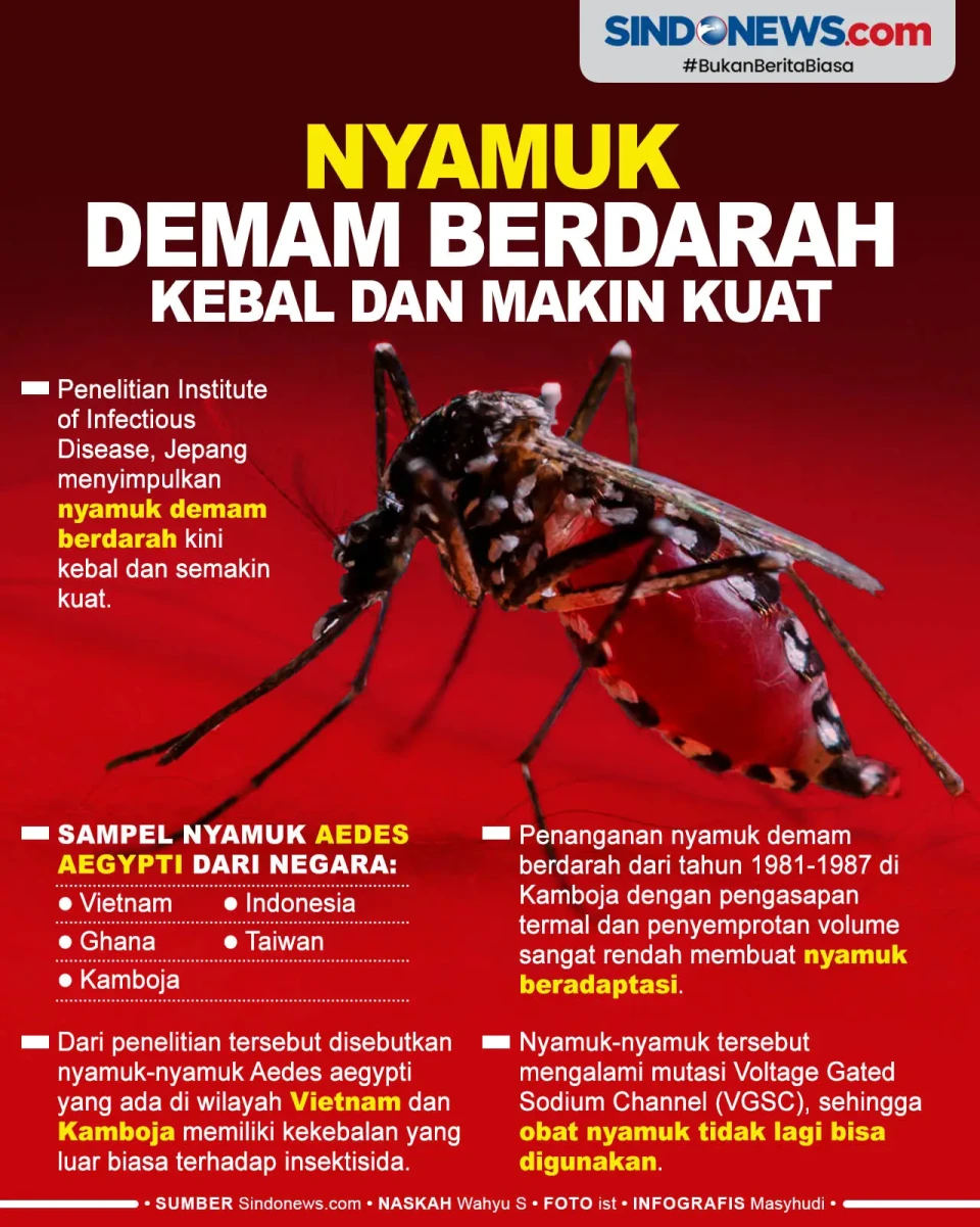 Berbahaya! Nyamuk Demam...