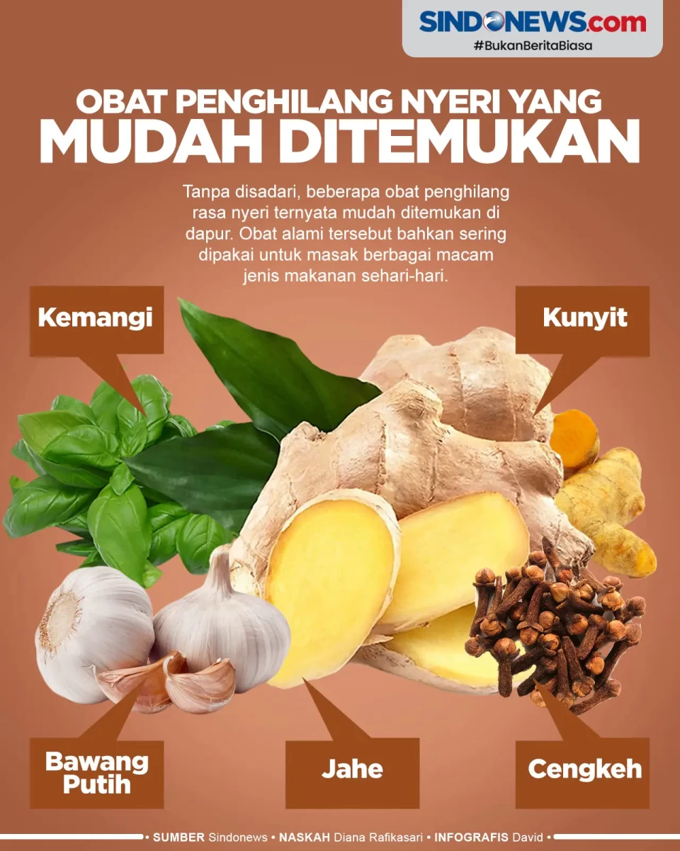 Obat Penghilang Rasa...
