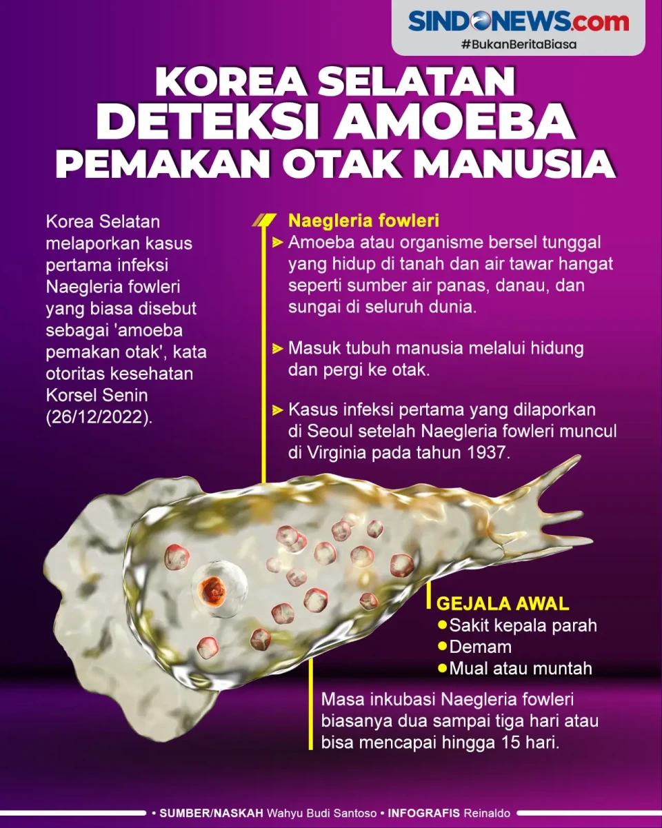 Korea Selatan Deteksi...