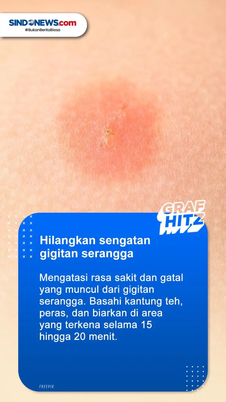 6 Manfaat Kantung Teh...