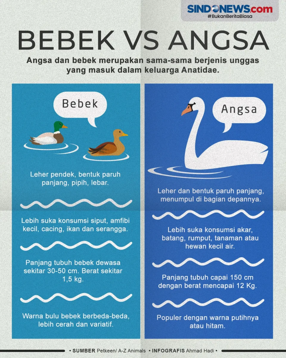 Sering Dianggap Sama,...