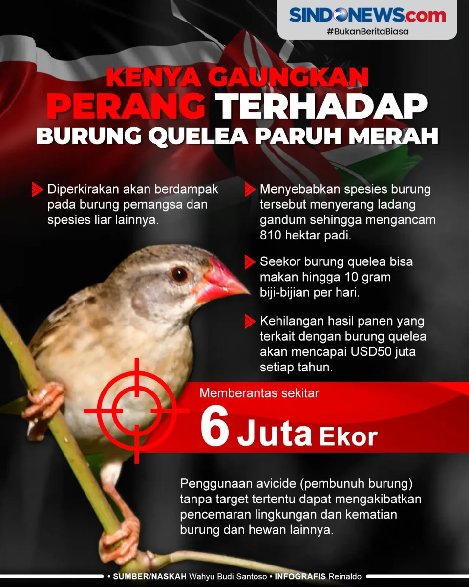 Kenya Gaungkan Perang...