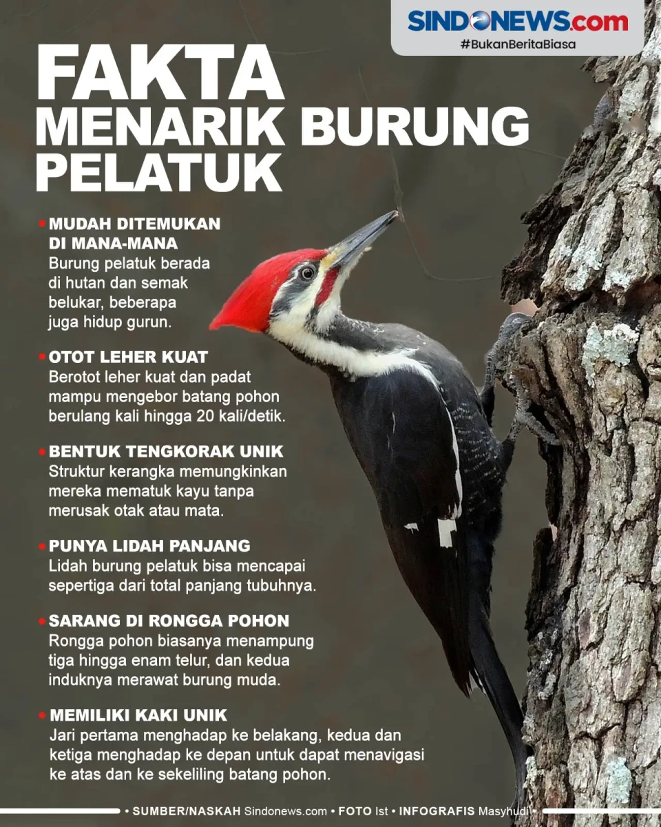 6 Fakta Menarik Tentang...
