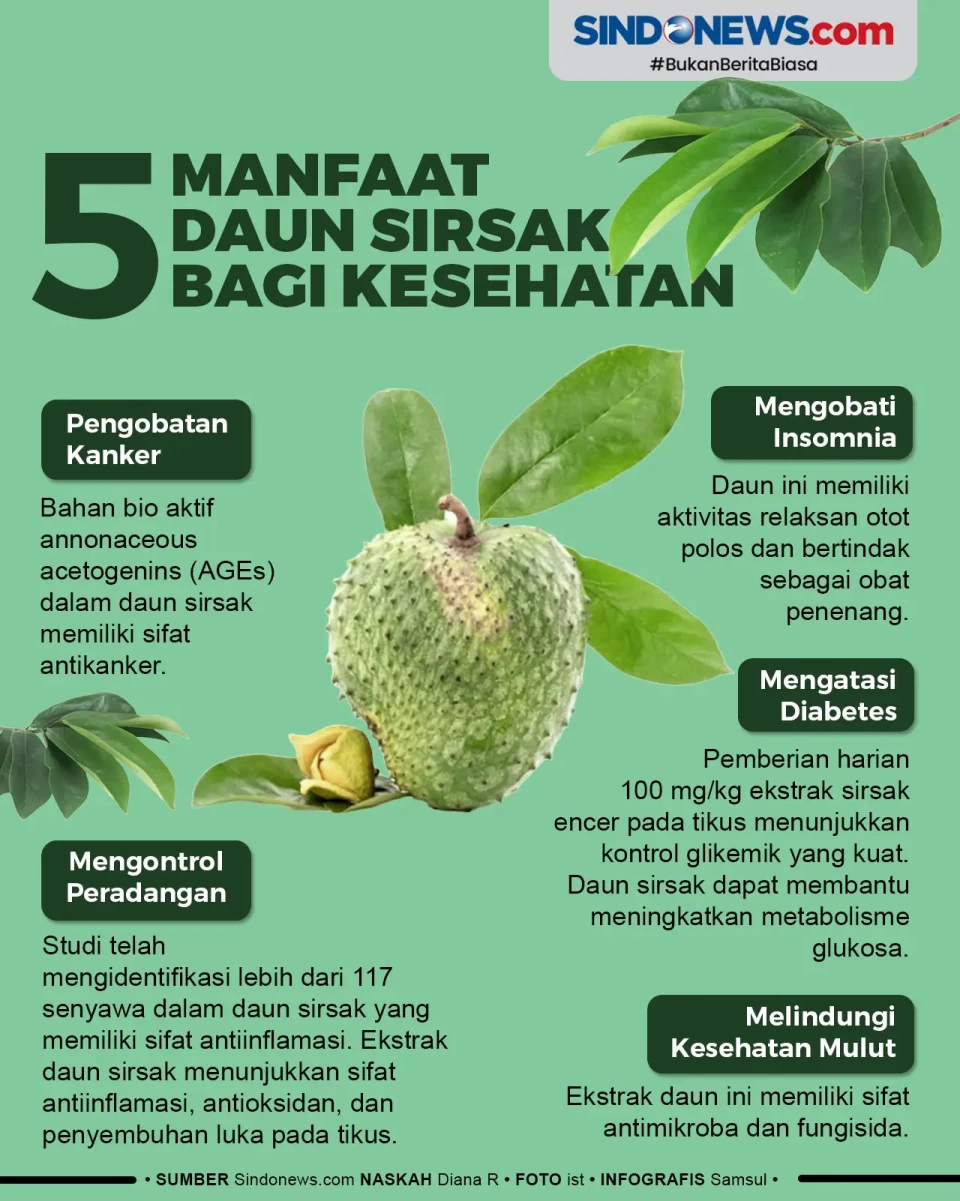 Bisa Obati Kanker, ini...